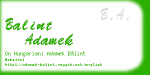 balint adamek business card