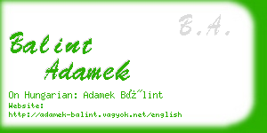 balint adamek business card